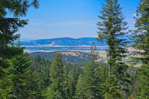 NKA E Belmont Rd, Mica, WA, 99023 | Card Image