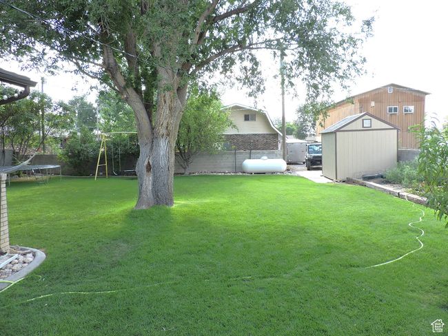 Beautiful Backyard | Image 47
