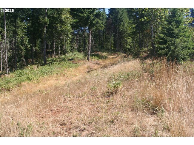 3647 Briar Knob Loop Ne, Home with 0 bedrooms, 0 bathrooms and null parking in Scotts Mills OR | Image 17