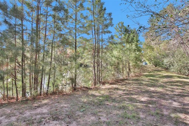 9800 Ramzi Dr, House other with 5 bedrooms, 2 bathrooms and 2 parking in Conroe TX | Image 39