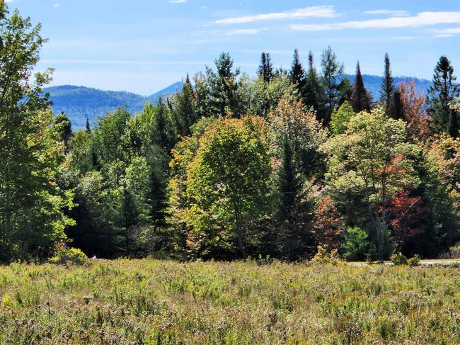 PARCEL-3 - 0 Us Route 2, Home with 0 bedrooms, 0 bathrooms and null parking in Lunenburg VT | Image 33