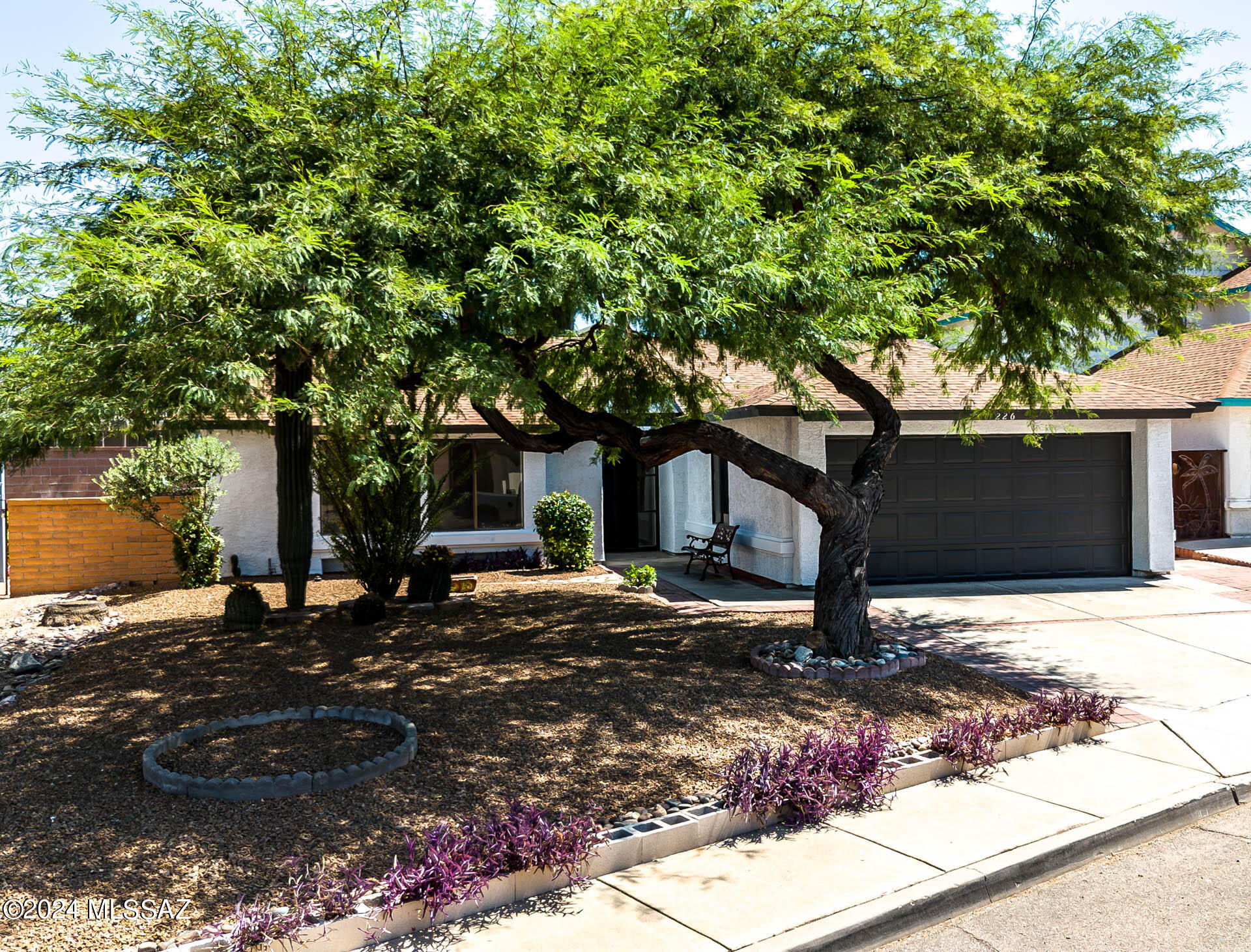 Jacs Pl, Tucson, AZ 85748 #1