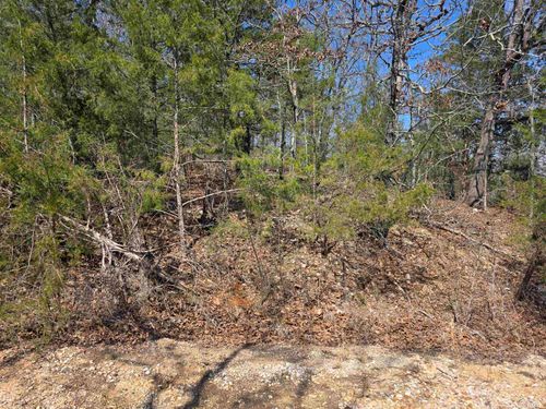 L52 B2 Chief Day Break Drive, Cherokee Village, AR, 72529 | Card Image