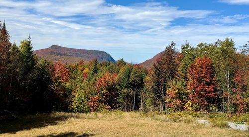 00 Off Rocky Road, Newark, VT, 05871 | Card Image