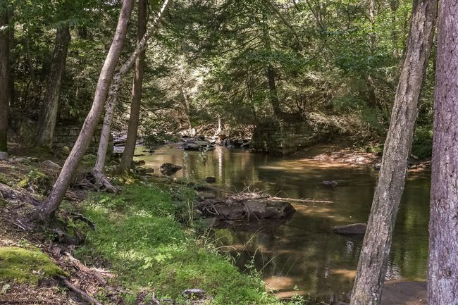 653 Watersound Trce, House other with 3 bedrooms, 3 bathrooms and 3 parking in Bruceton Mills WV | Image 37