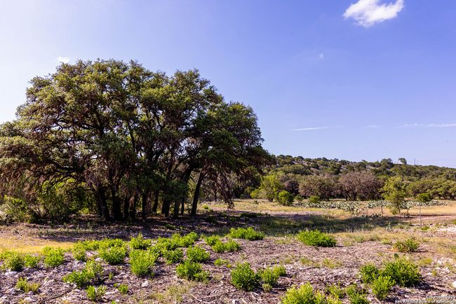 14910 Bullhead Rd, Home with 3 bedrooms, 1 bathrooms and null parking in Rocksprings TX | Image 36