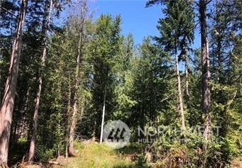 Land in Spanaway 4