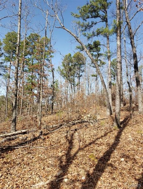 0 Gobblers Knob Rd, Steelville, MO, 65565 | Card Image