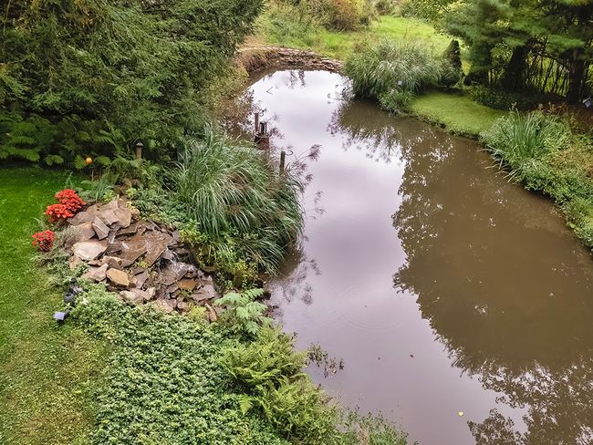 Own pond with fish | Image 8