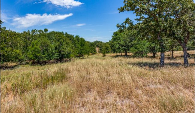 271 Creek Meadow Ct, Home with 0 bedrooms, 0 bathrooms and null parking in Lipan TX | Image 5