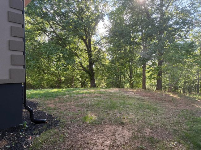 Back Yard | Image 25