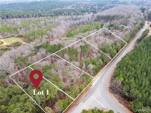 Lot 1 Sexton Bend Rd, Tuscaloosa, AL, 35406 | Card Image