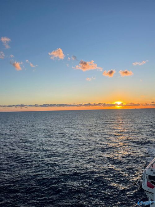 1888 Martha Ln Ne, Arab, AL, 35016-5713 | Card Image