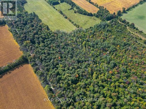 PTLT 30 30th Sideroad Ndr, Elmwood, ON, N0G1S0 | Card Image