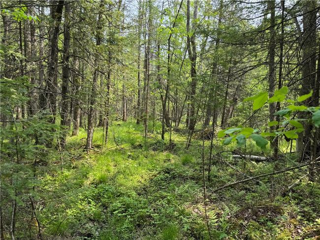 15014 Silver Creek Rd, House other with 1 bedrooms, 1 bathrooms and null parking in Birnamwood WI | Image 32