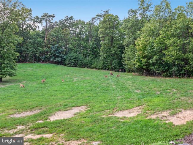 125 Boo Rd, House other with 4 bedrooms, 4 bathrooms and null parking in FRONT ROYAL VA | Image 58