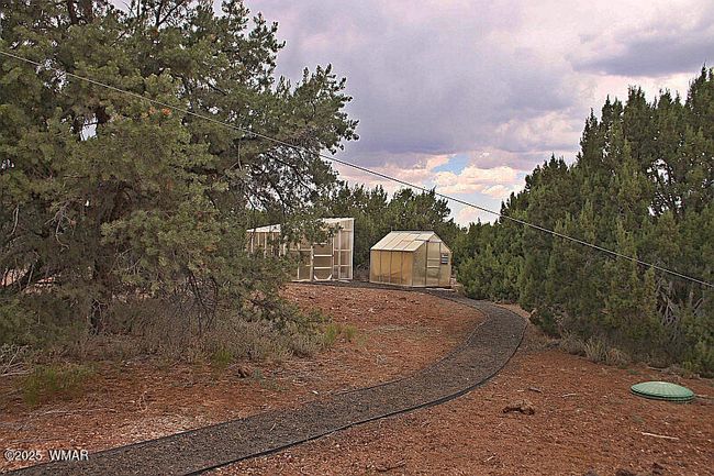 Path to Greenhouse | Image 23
