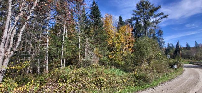 0 Thomas West Road, Home with 0 bedrooms, 0 bathrooms and null parking in Lunenburg VT | Image 5