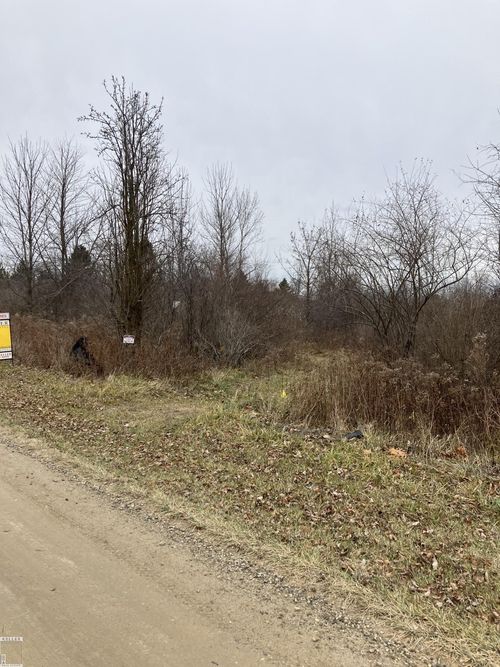 0 Minor Rd, Memphis, MI, 48041 | Card Image