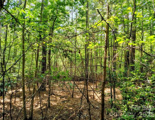 210 Harbor Ridge Dr, Connelly Springs, NC, 28612-8081 | Card Image