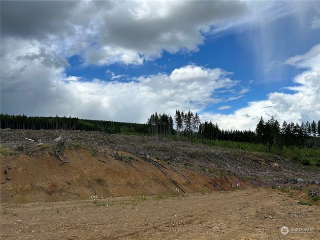 0 NKA 713 Road, Home with 0 bedrooms, 0 bathrooms and null parking in Castle Rock WA | Image 11