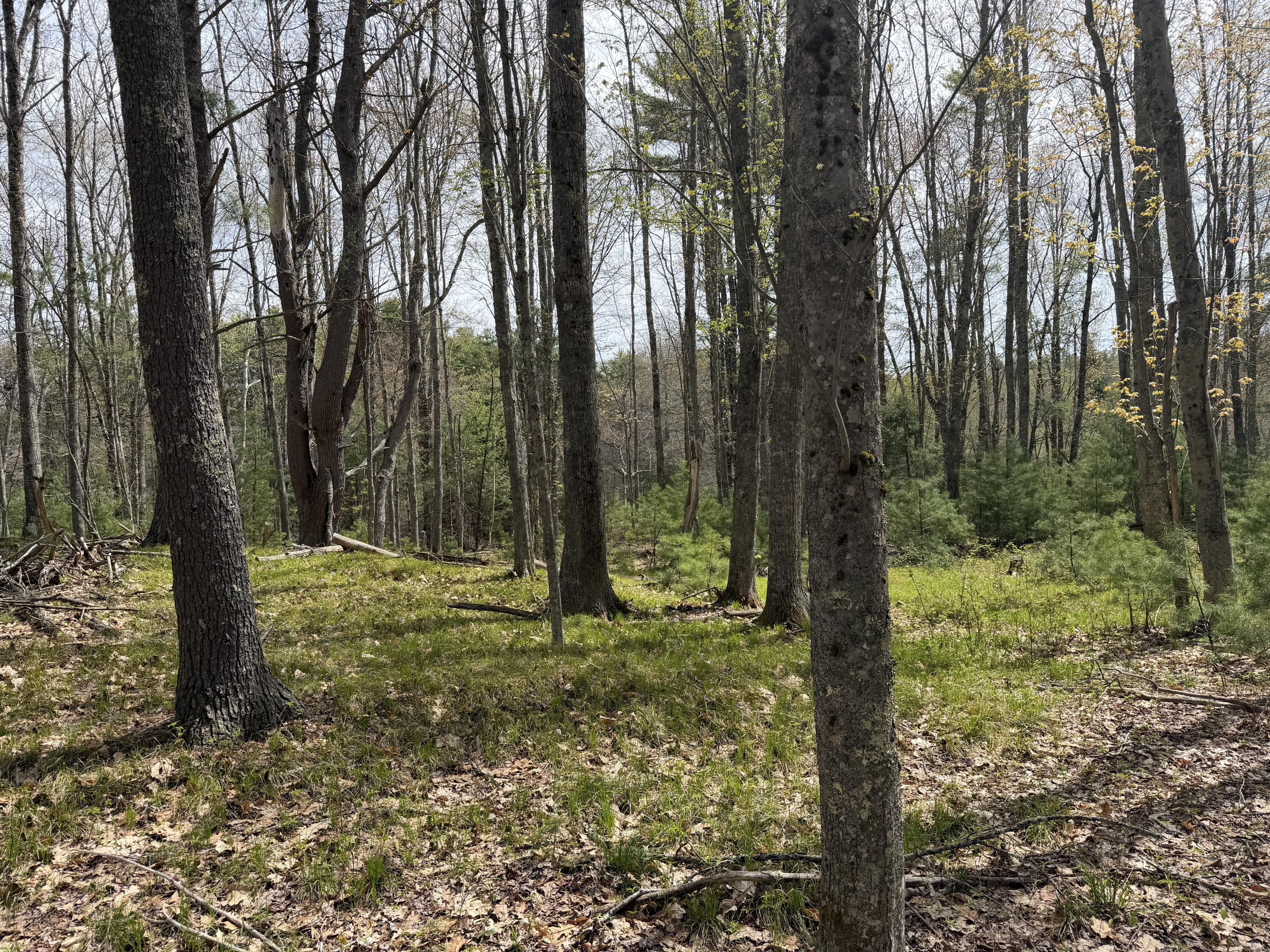 Land in Arrowsic 3