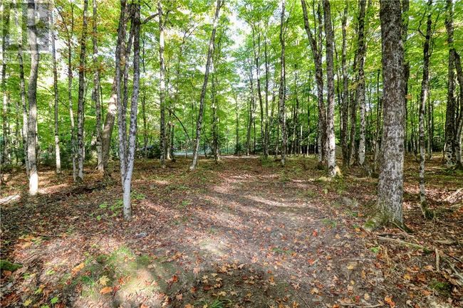 98 Steven St, Home with 0 bedrooms, 0 bathrooms and null parking in Gore Bay ON | Image 32