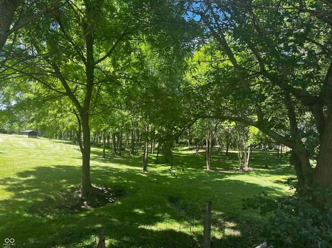 Premises are mowed and very well kept | Image 28