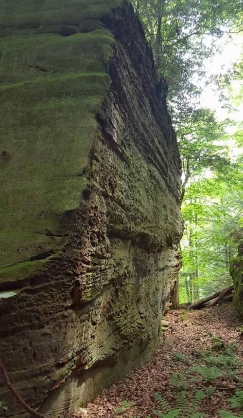 24138 Huffines Rd, Rockbridge, OH, 43149-9737 | Card Image