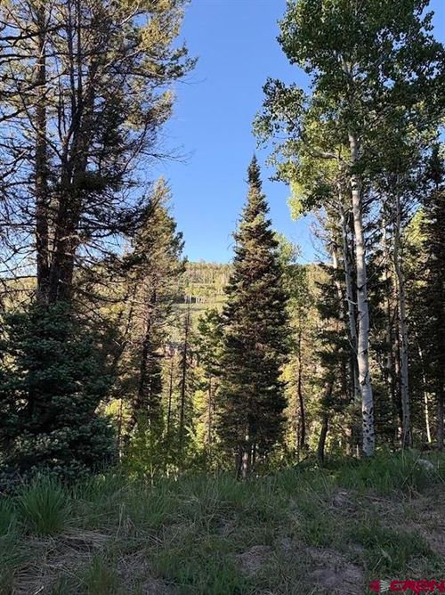 449 Ute Dr, Cimarron, CO, 81220-9557 | Card Image
