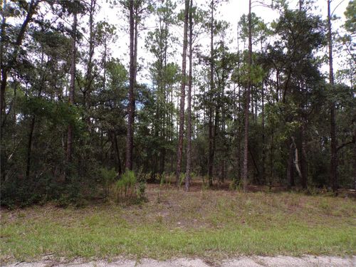 601 E Marquette Ln, Citrus Springs, FL, 34434 | Card Image
