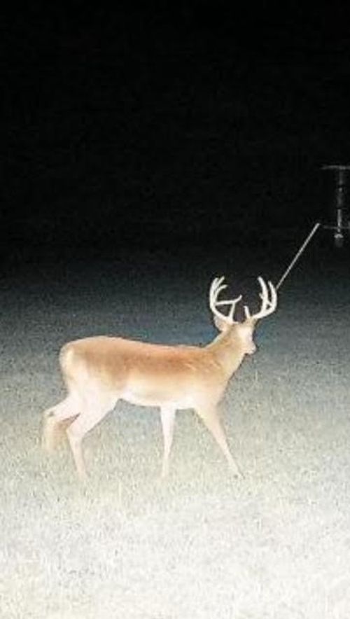 6634 Tim Donald Rd, Justin, TX, 76247-6921 | Card Image