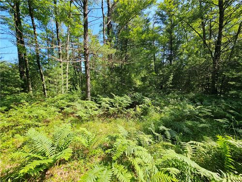 XXX Potter Rd, Black River Falls, WI, 54615 | Card Image