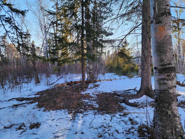XX-2 Hoaglund Dr, Home with 0 bedrooms, 0 bathrooms and null parking in Tofte MN | Image 7