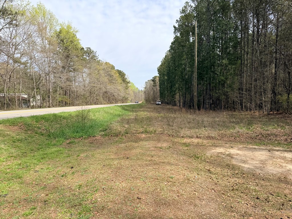 Commercial Sale in Griffin 5