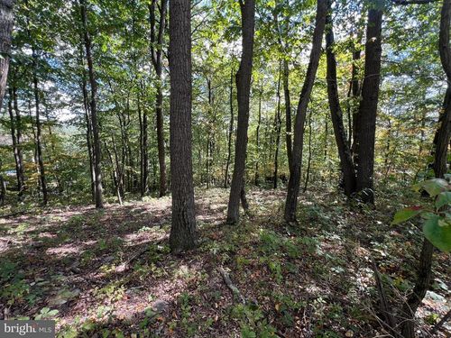 Lot 31 Woodlawn Dr, Crystal Spring, PA, 15536 | Card Image