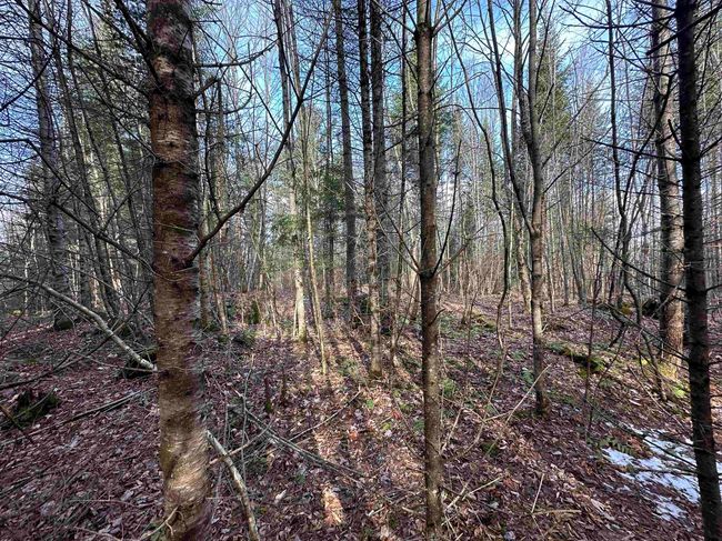 Lot 109 Steeple View Dr, Home with 0 bedrooms, 0 bathrooms and null parking in Bethlehem NH | Image 12