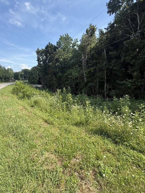 0 Reed Rd, Indian Mound, TN, 37079 | Card Image