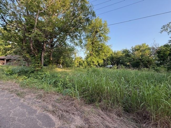 202 Elm St, Home with 0 bedrooms, 0 bathrooms and null parking in Roxton TX | Image 8