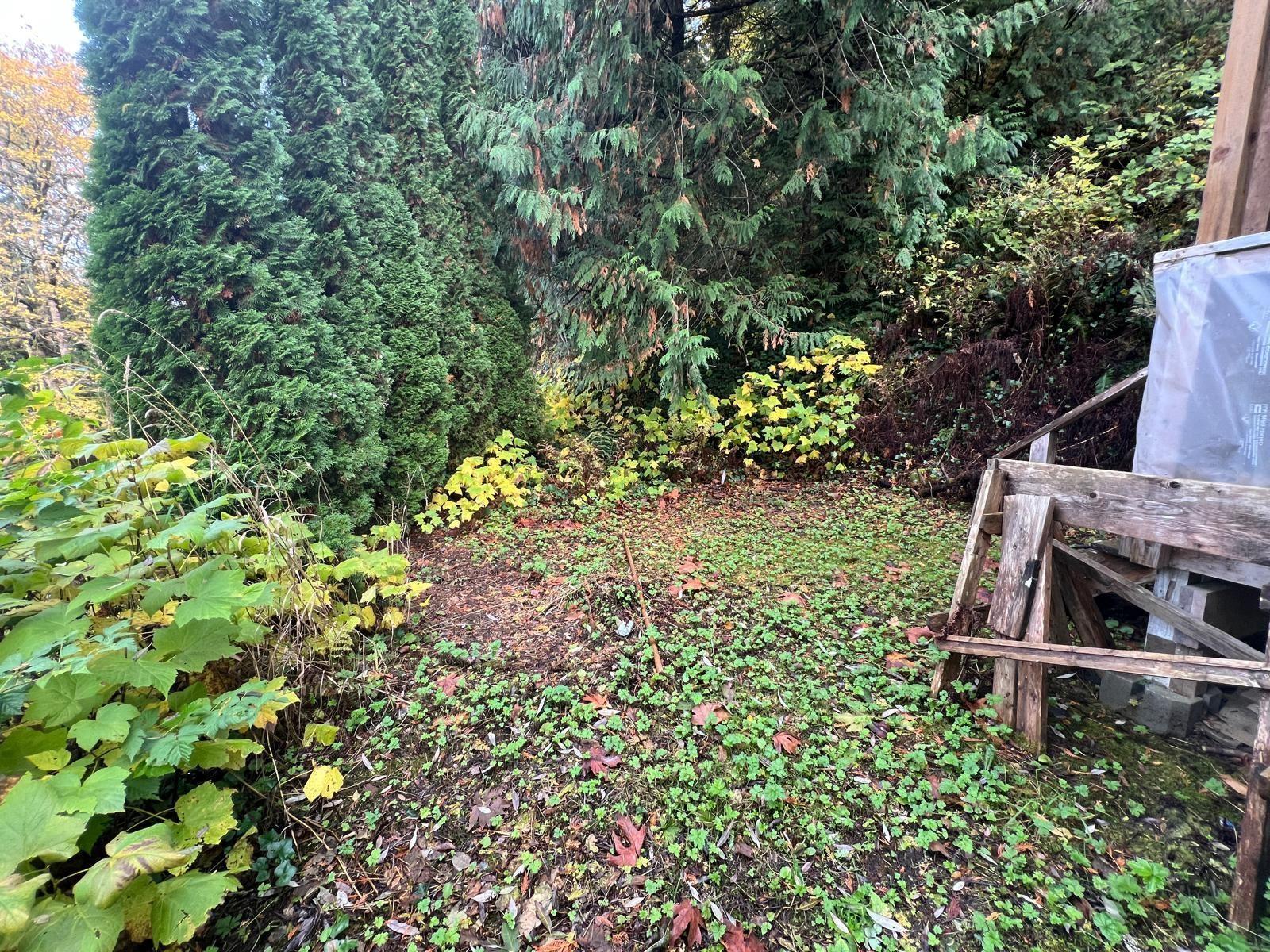 Residential in Cultus Lake 5