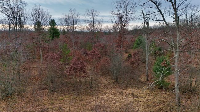 3726 N Custer Rd, Home with 0 bedrooms, 0 bathrooms and null parking in Manistee MI | Image 4