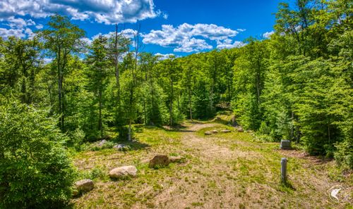 135 Mountain Ln, Lake Placid, NY, 12946-1845 | Card Image