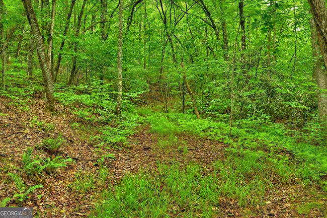 LOT 68 Toccoa Taquohee Trl, Home with 0 bedrooms, 0 bathrooms and null parking in Blue Ridge GA | Image 22