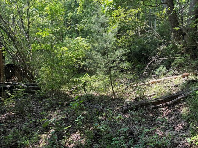 12055 Us 25/70 Hwy, Home with 0 bedrooms, 0 bathrooms and null parking in Marshall NC | Image 8