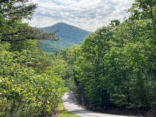 LOT 25 Loftis Mountain Ct, Blairsville, GA, 30512-8708 | Card Image
