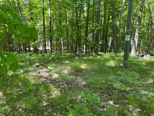 349-8297 Highland Trl, Canadian Lakes, MI, 49346-8763 | Card Image