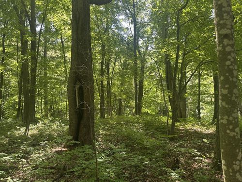 Lot 1 Becker Road, UNION, WI, 54739 | Card Image