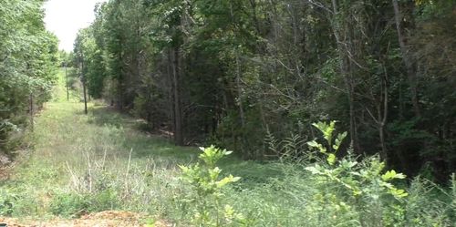 0 Corsbie Hill Rd, Cherokee, AL, 35616 | Card Image