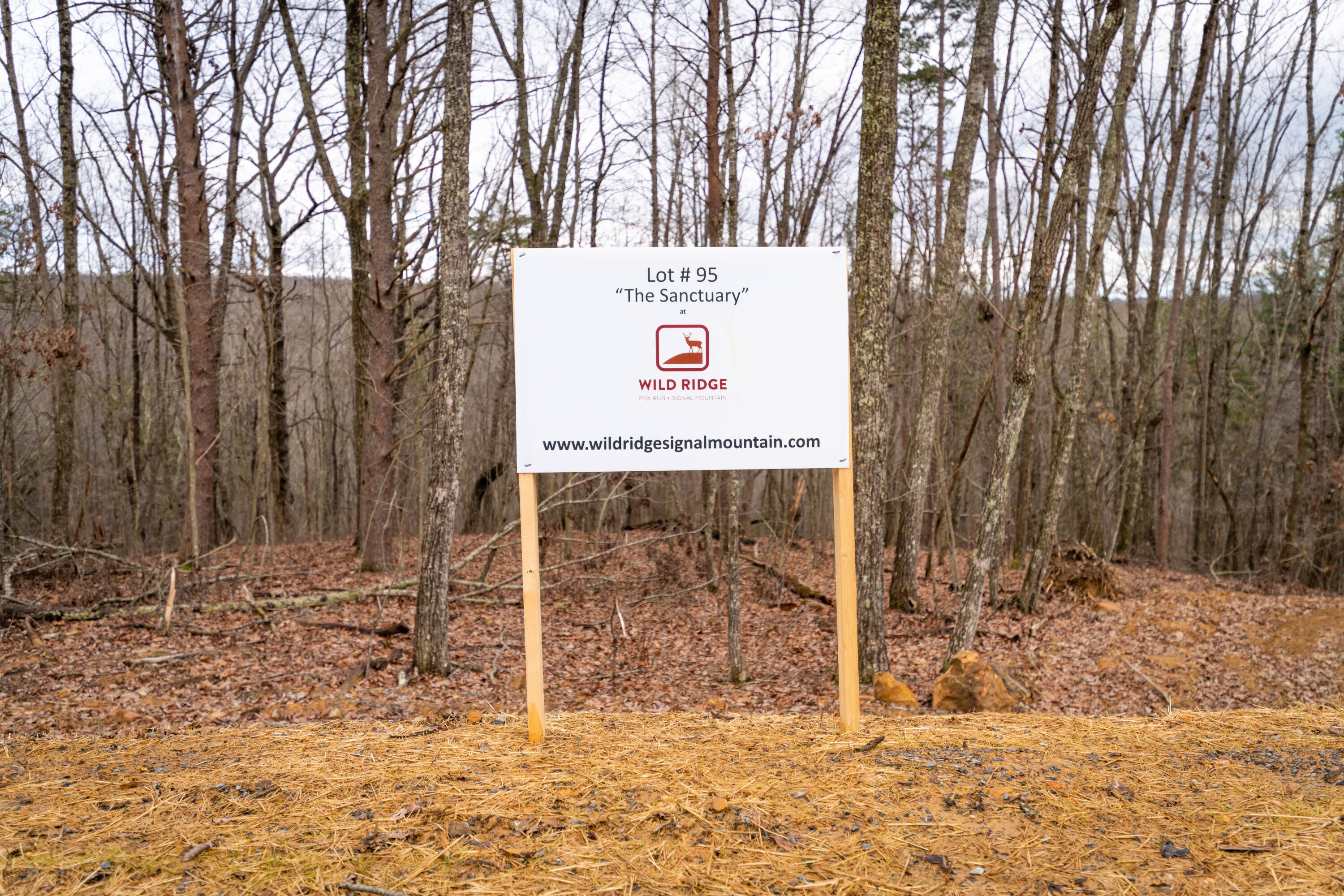 Virginia Pine Rd, Signal Mountain, TN 37377