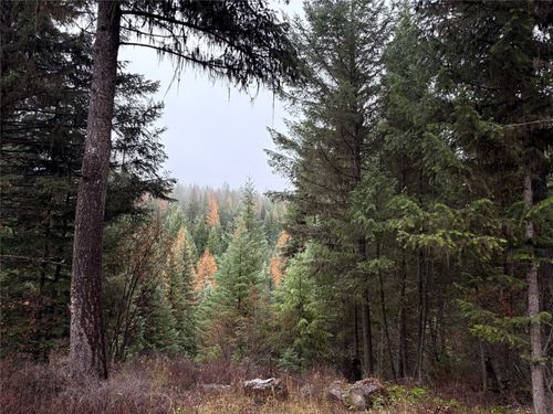 191 Hammond Valley Rd, Trego, MT, 59934-7788 | Card Image